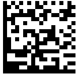 GS1 Datamatrix barcode